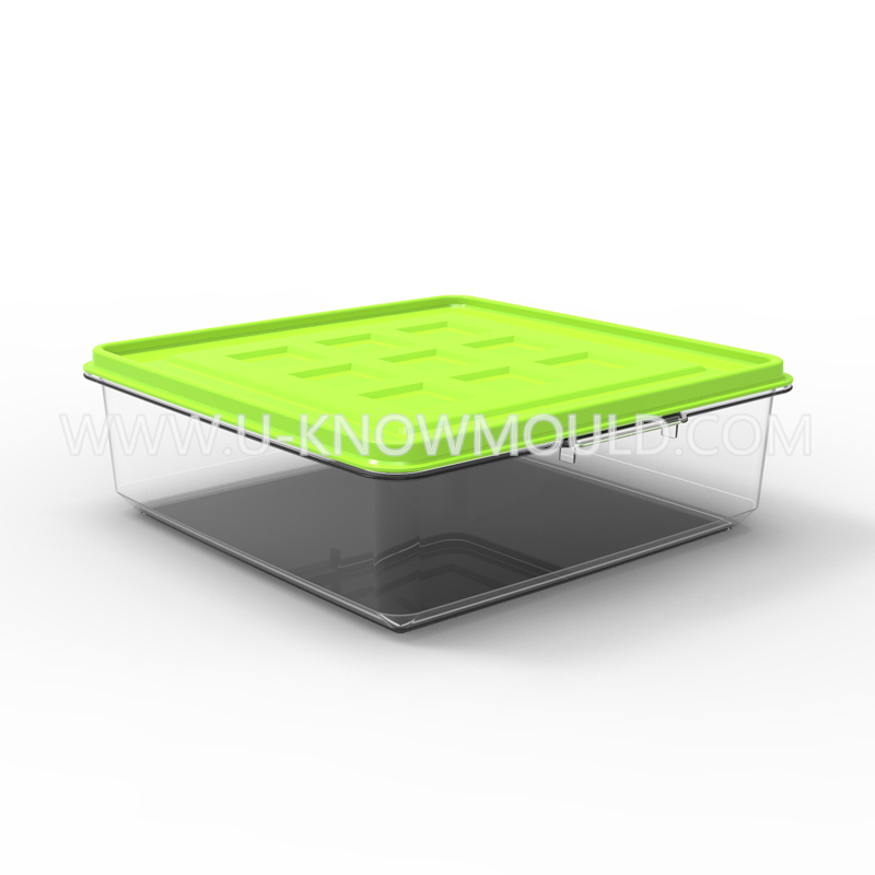 Plastic Packaging Box Injection Mould Food Container Mold