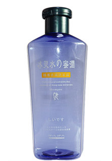 OEM Eco Friendly Plastic Bottle Hair Shampoo