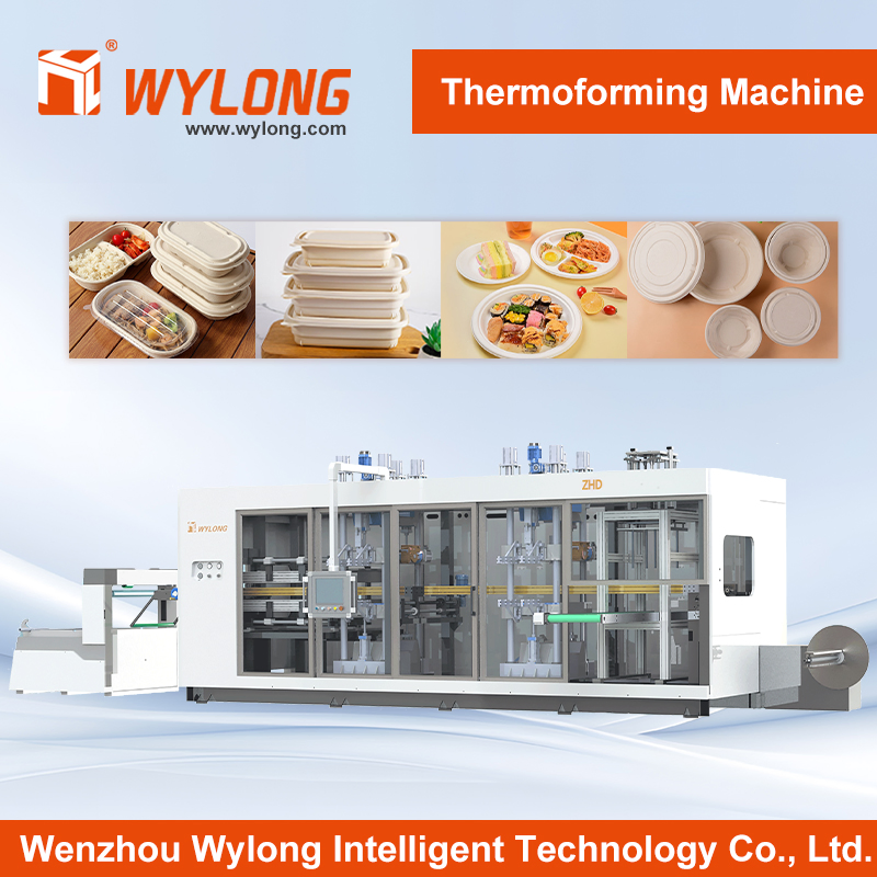 600/400 Thermoforming Equipment: Multi-Station Coordination for Rapid Output of Plastic Containers & Thin-Wall Products
