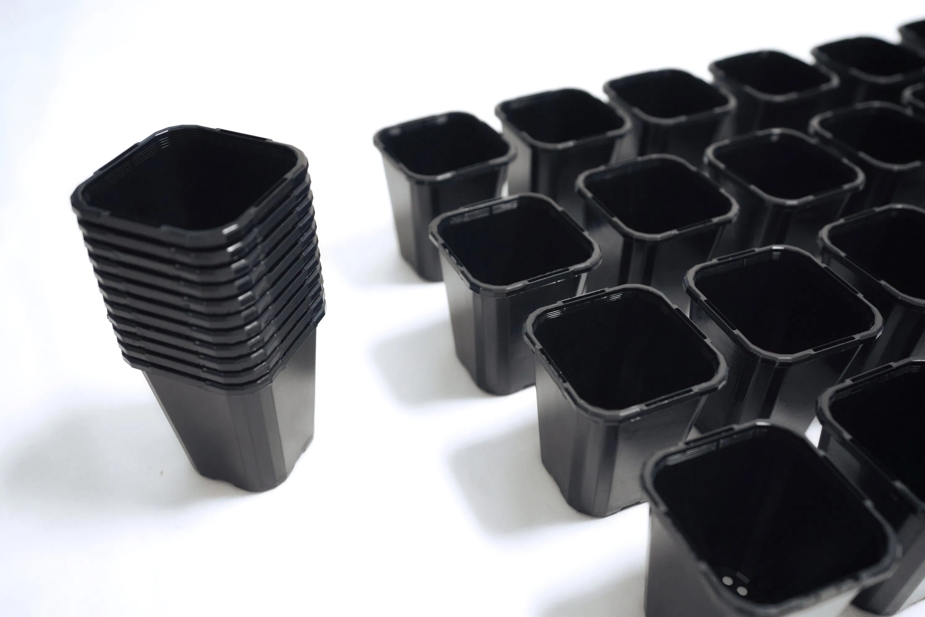 Customized PP Square Little Plastic Pot, Grid with UV Stability for Plant