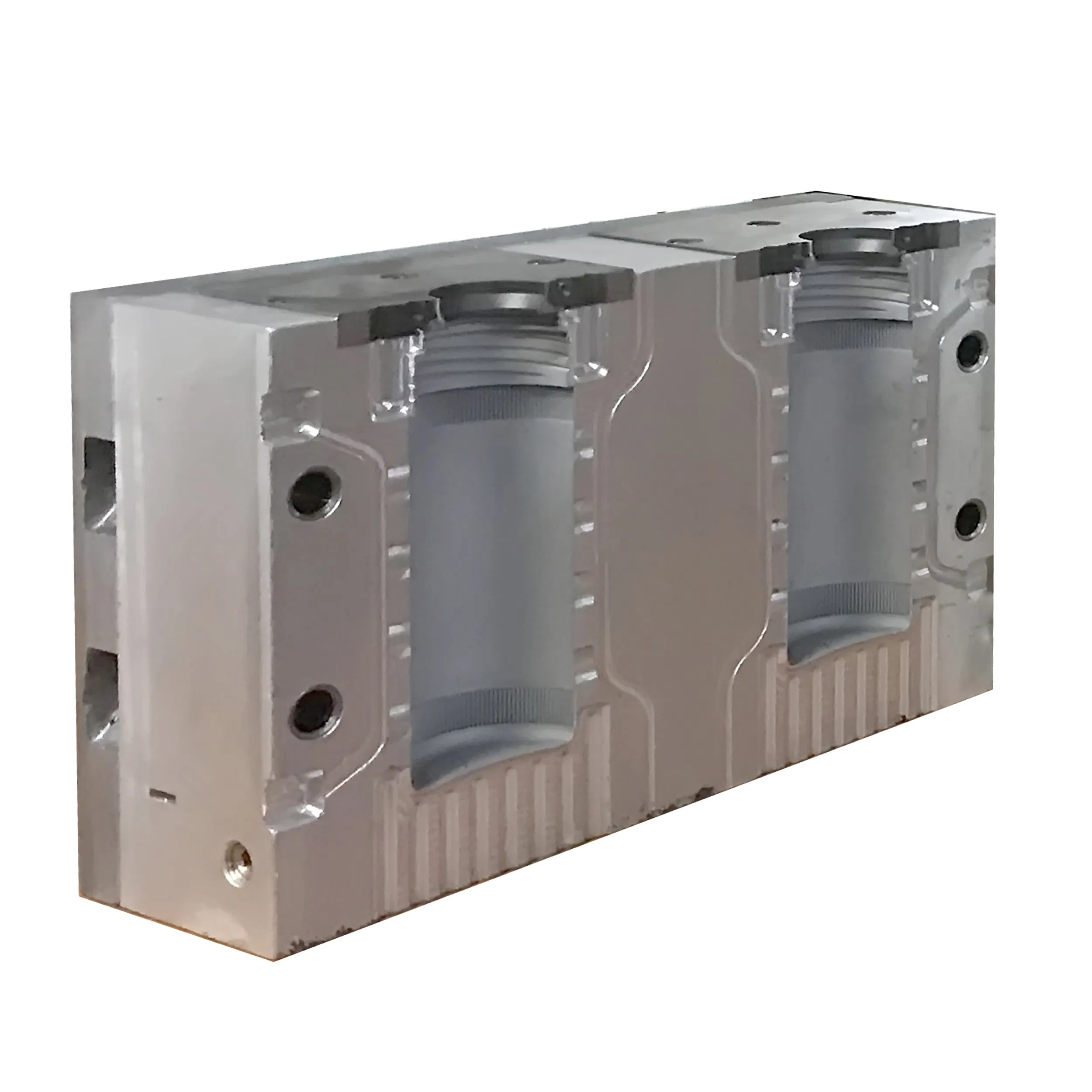 High Quality Multi Cavity Blow Mold Plastic Bottle Mould