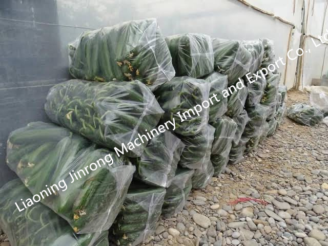Plastic Packaging Bag Production Line