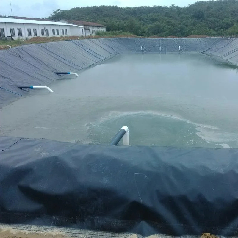 HDPE LDPE Geomembrane for Shrimp Pond/Landfills Water Pond and Dam Liner