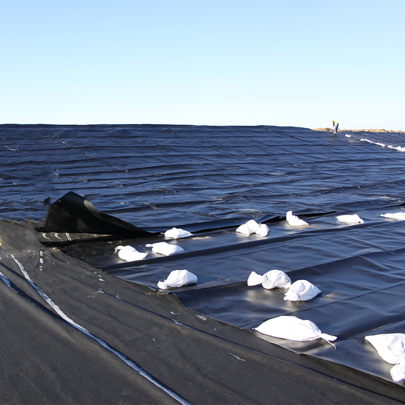 Factory Price 0.5mm 1mm 1.5mm 2mm HDPE Geo Membrane Geomembrane Dam Fish Farm Tank Pool Pond Liner